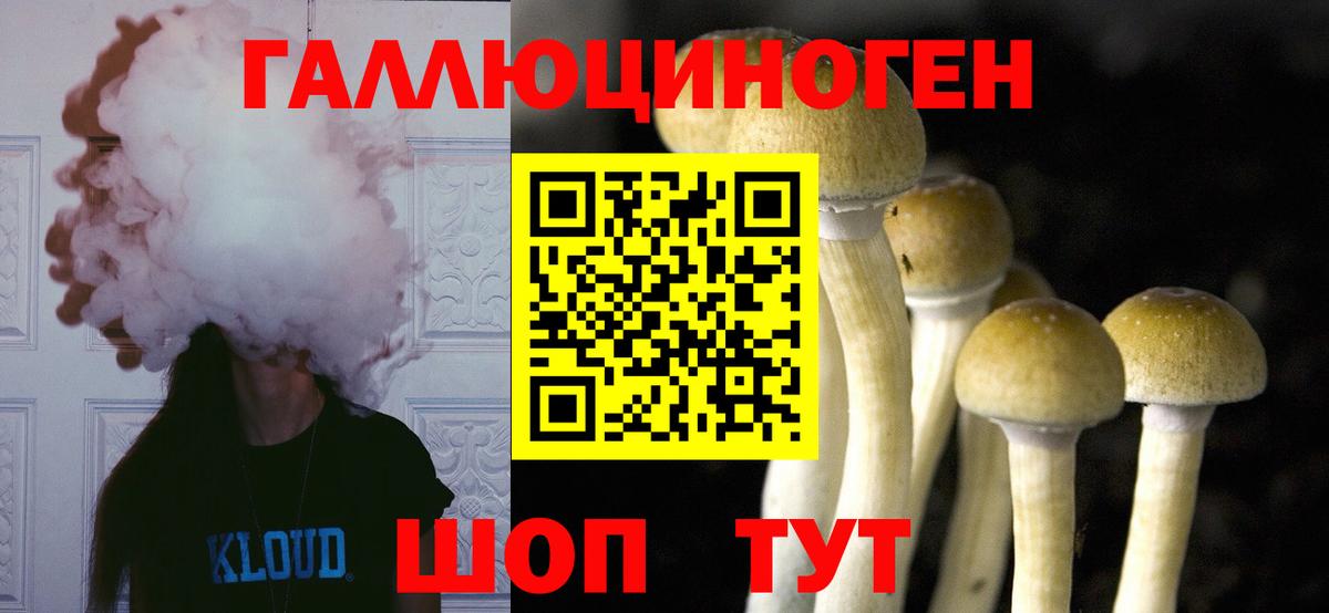 где найти   Вход с VPN  Стрежевой  Галлюциногенные грибы мицелий 